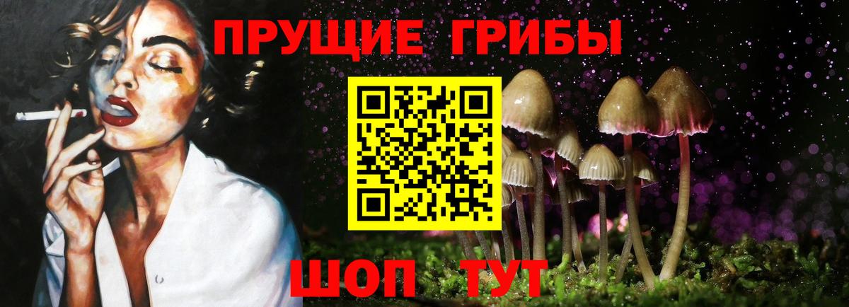 Асино  Галлюциногенные грибы GOLDEN TEACHER  Вход с VPN 