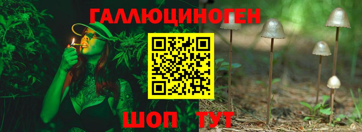 Псилоцибиновые грибы прущие грибы Асино